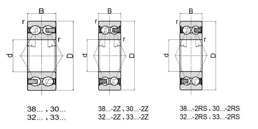 305 Double Row Angular Contact Ball Bearing (2)