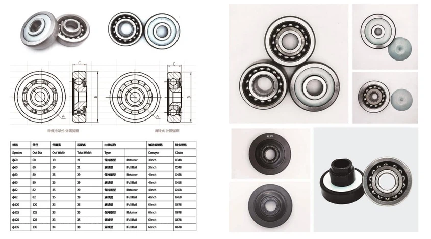 conveyor bearing